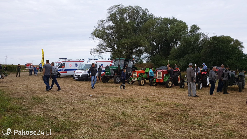 Grene Race 2018