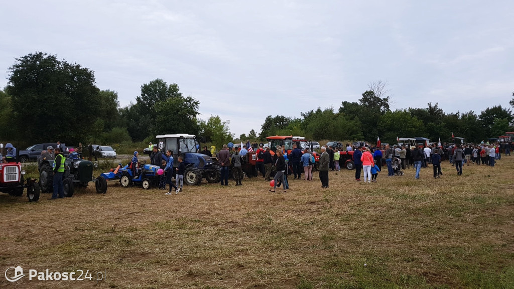 Grene Race 2018