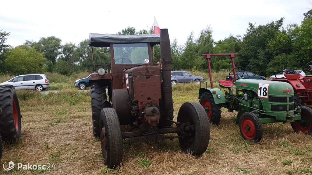 Grene Race 2018