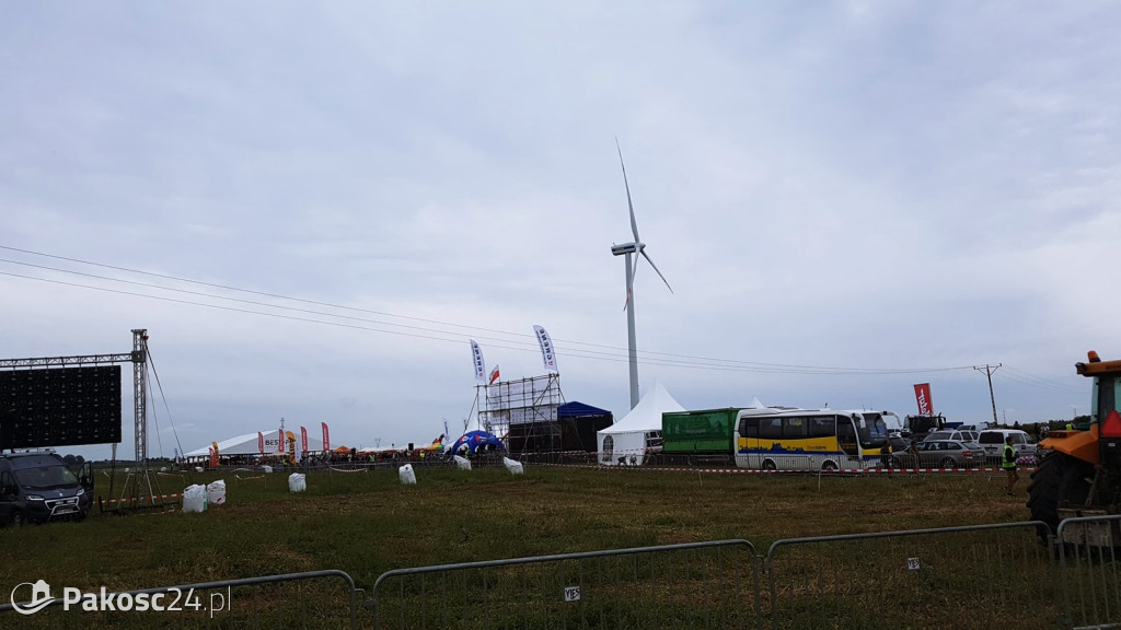 Grene Race 2018