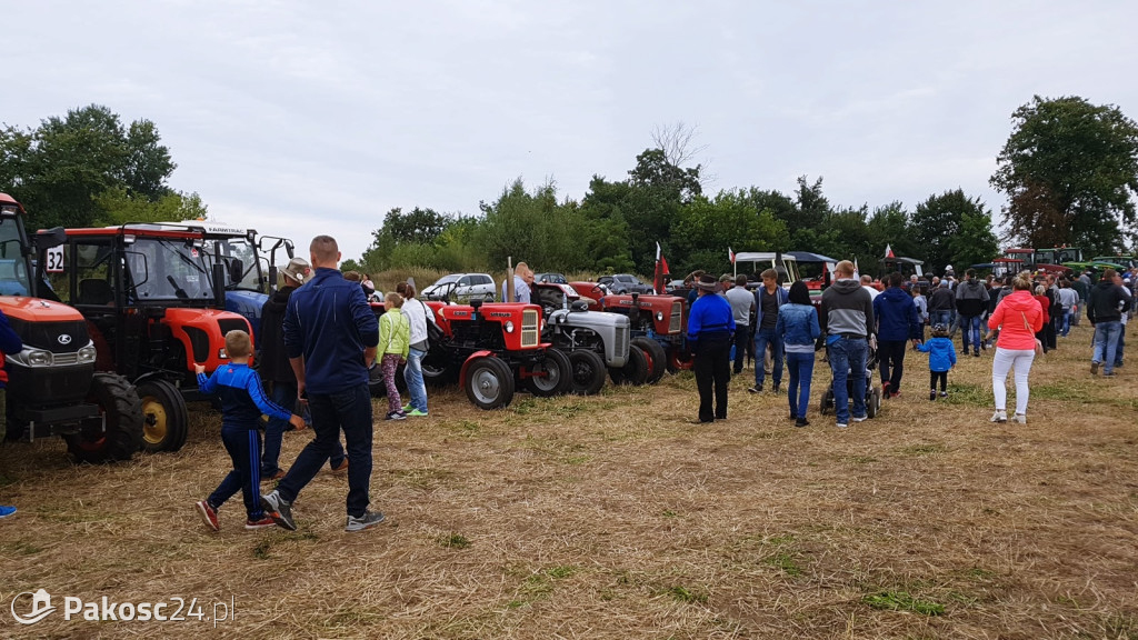 Grene Race 2018