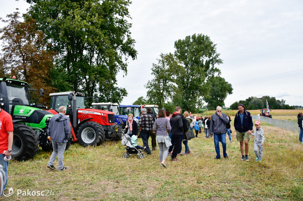 Grene Race 2018