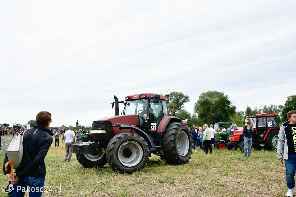 Grene Race 2018