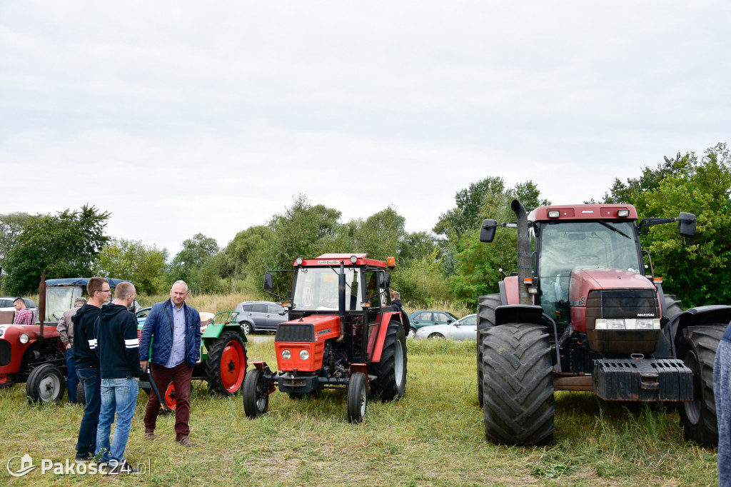 Grene Race 2018