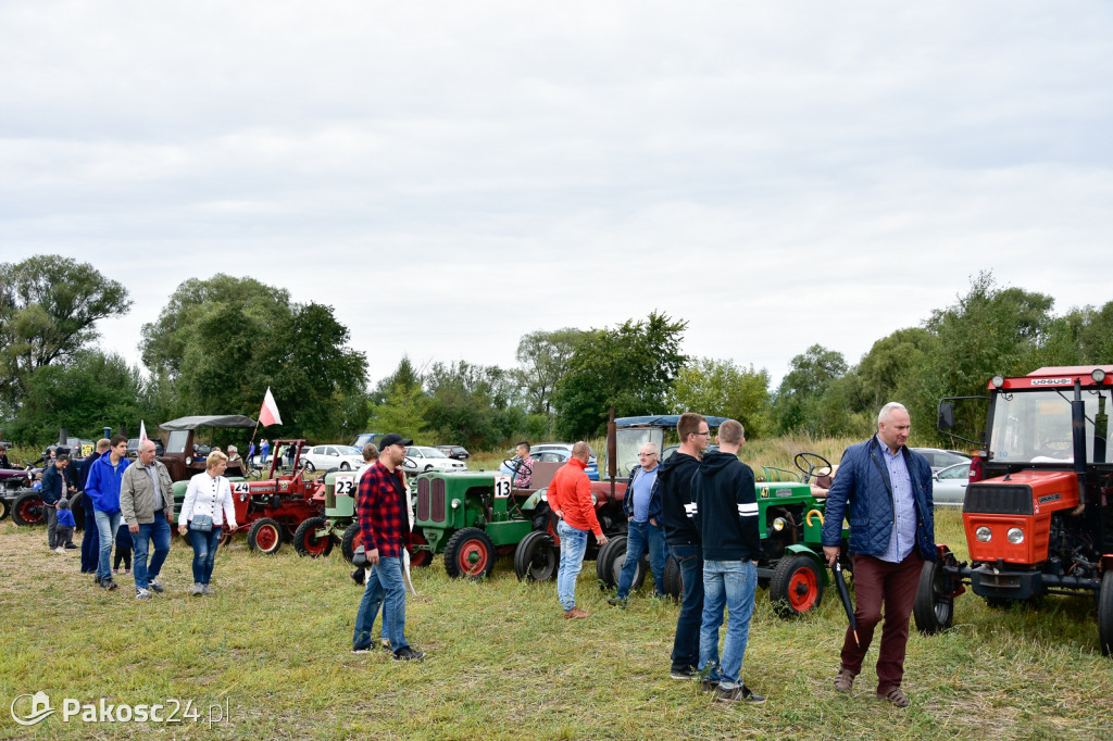 Grene Race 2018