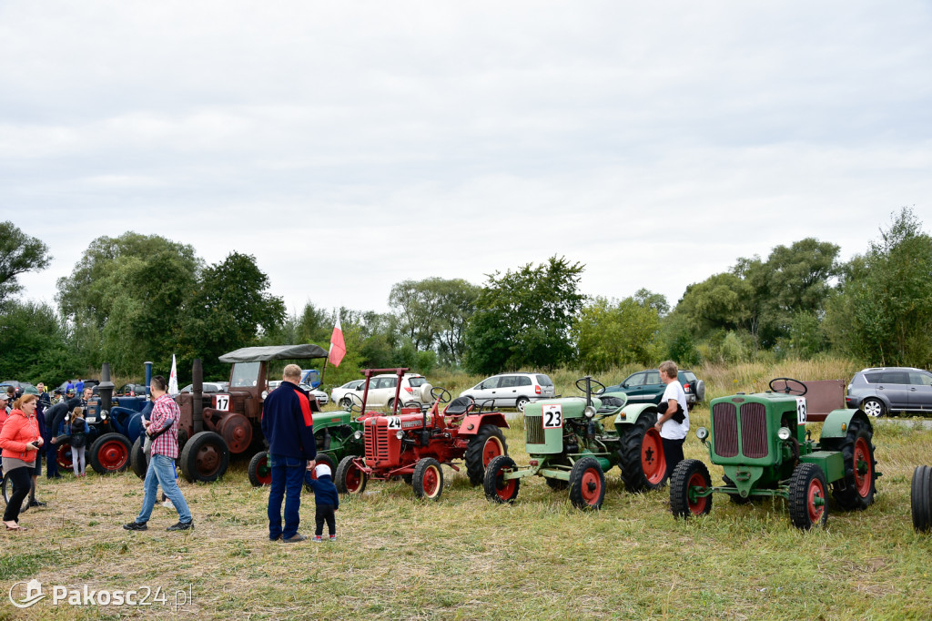 Grene Race 2018