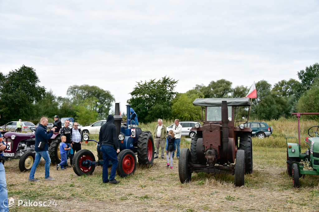 Grene Race 2018