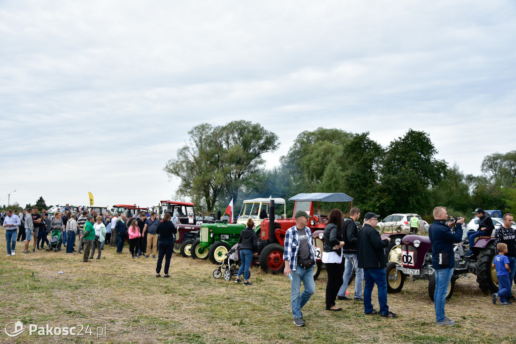 Grene Race 2018