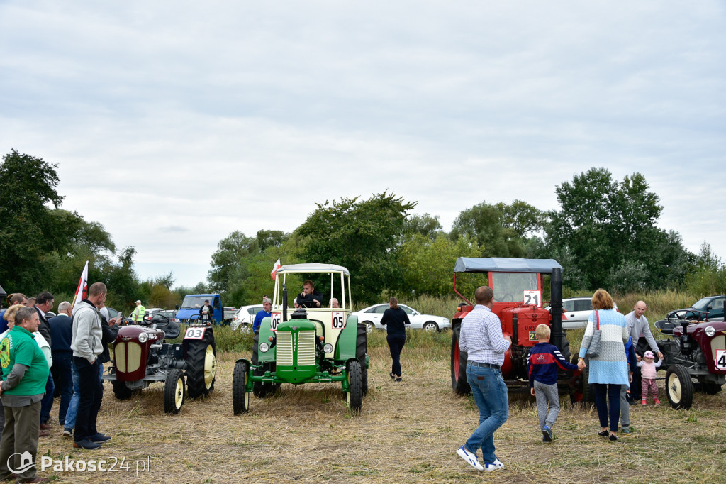 Grene Race 2018