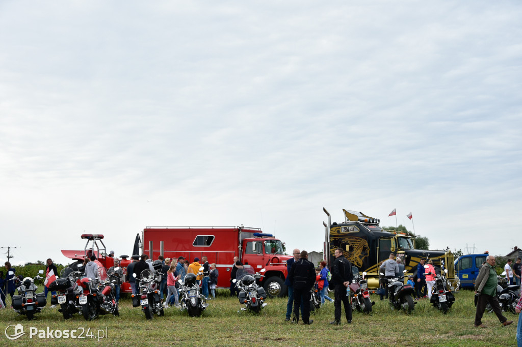 Grene Race 2018