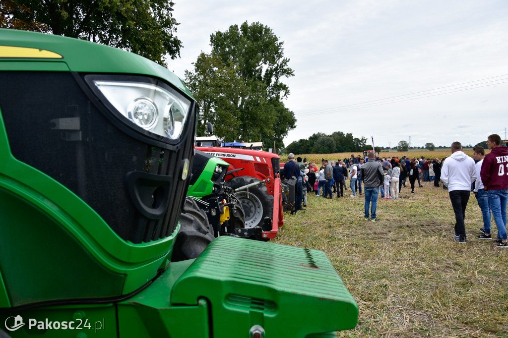 Grene Race 2018