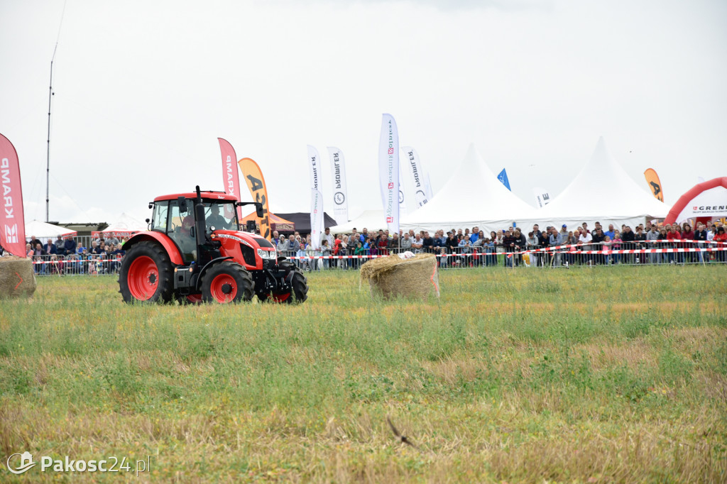 Grene Race 2018