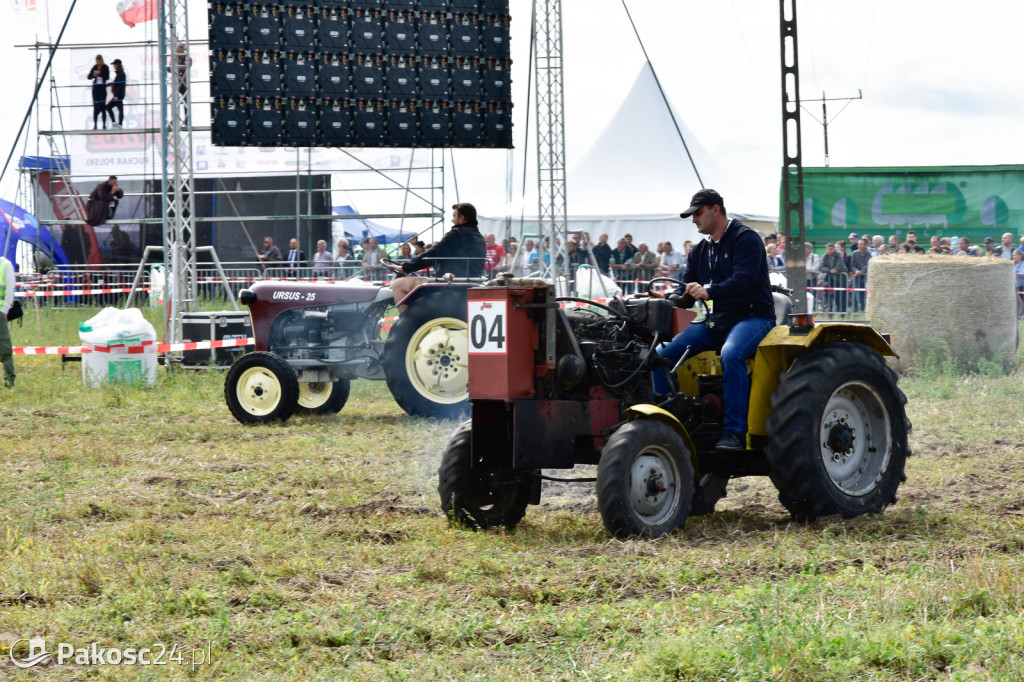 Grene Race 2018