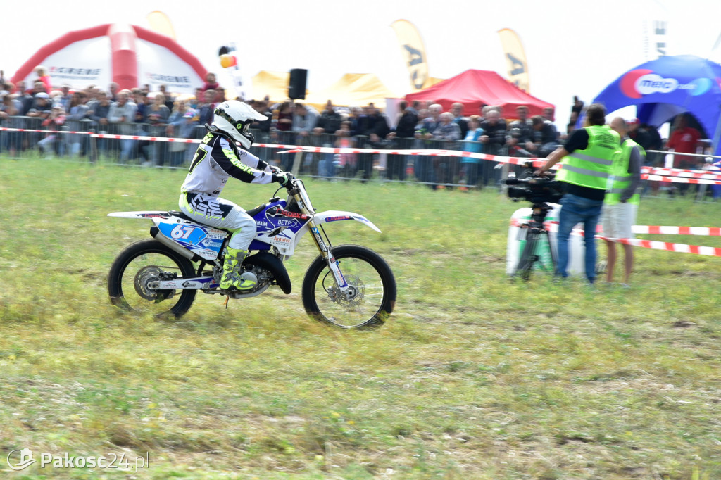 Grene Race 2018