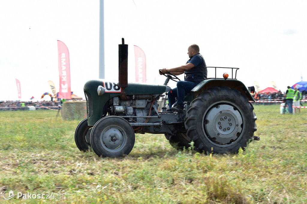 Grene Race 2018