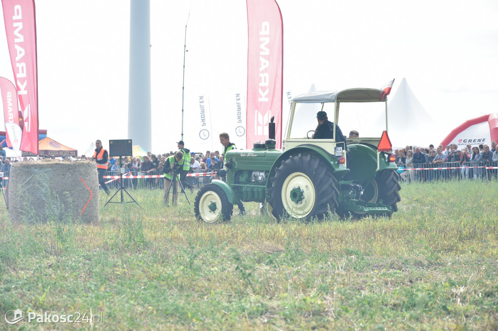 Grene Race 2018