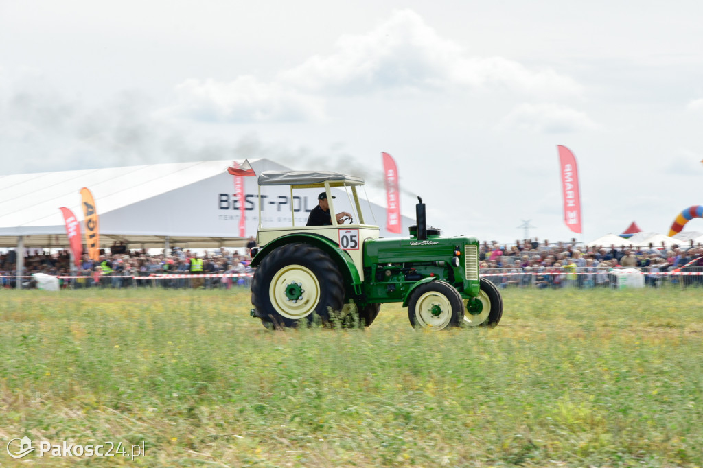 Grene Race 2018
