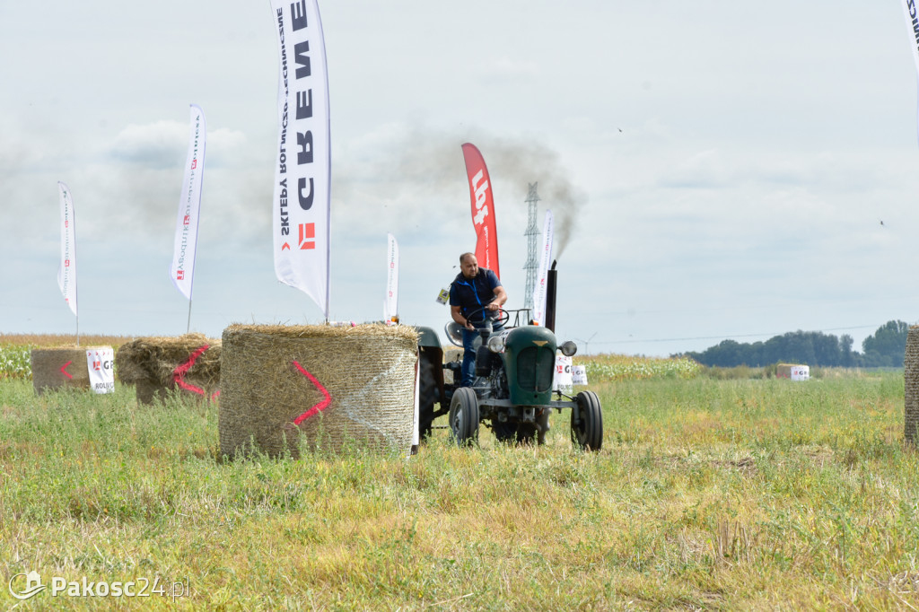 Grene Race 2018