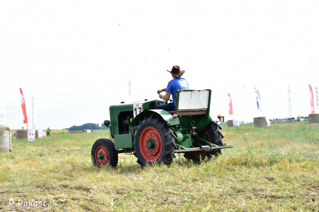 Grene Race 2018