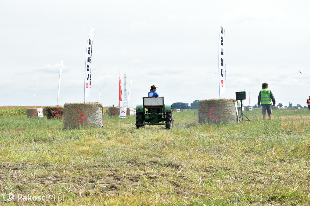 Grene Race 2018