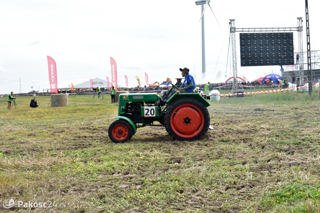 Grene Race 2018