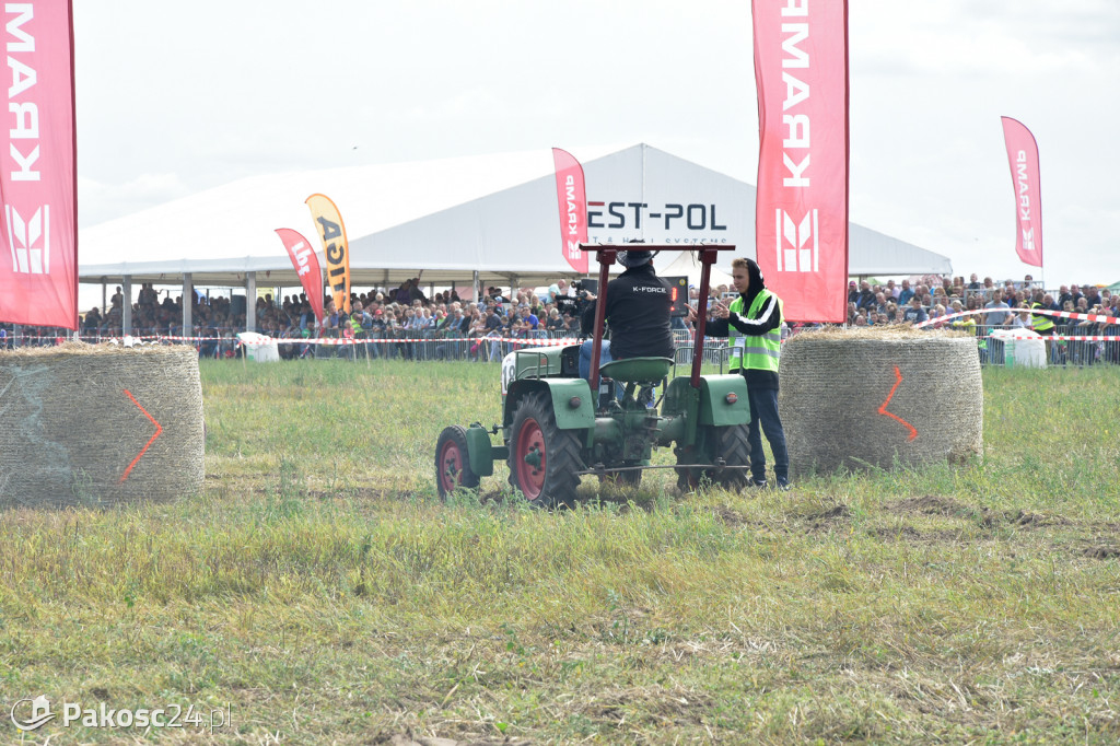 Grene Race 2018