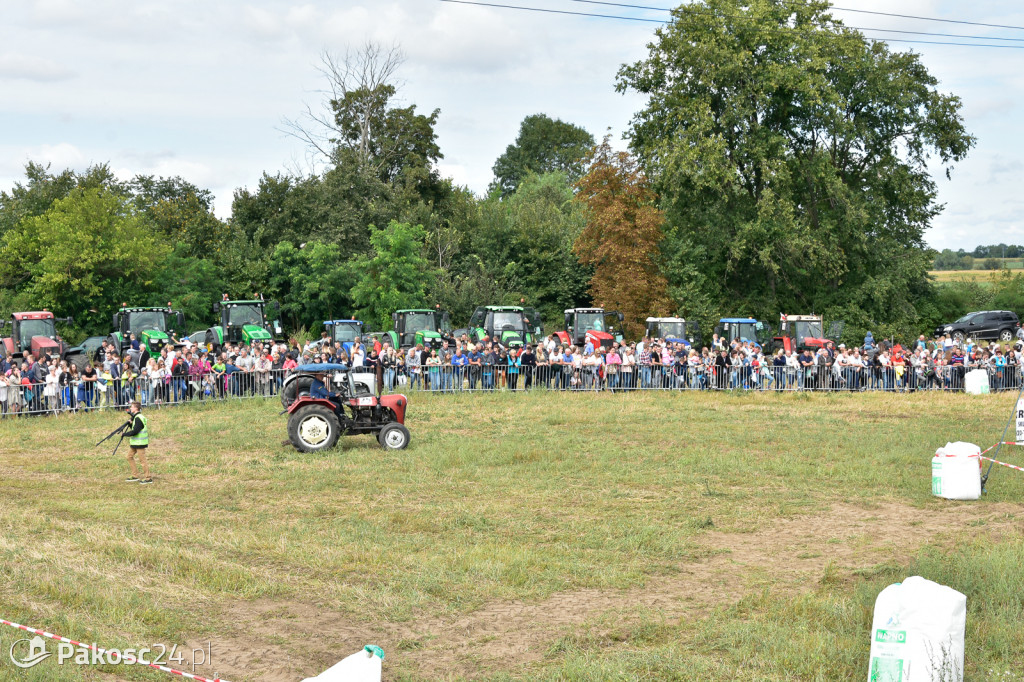 Grene Race 2018
