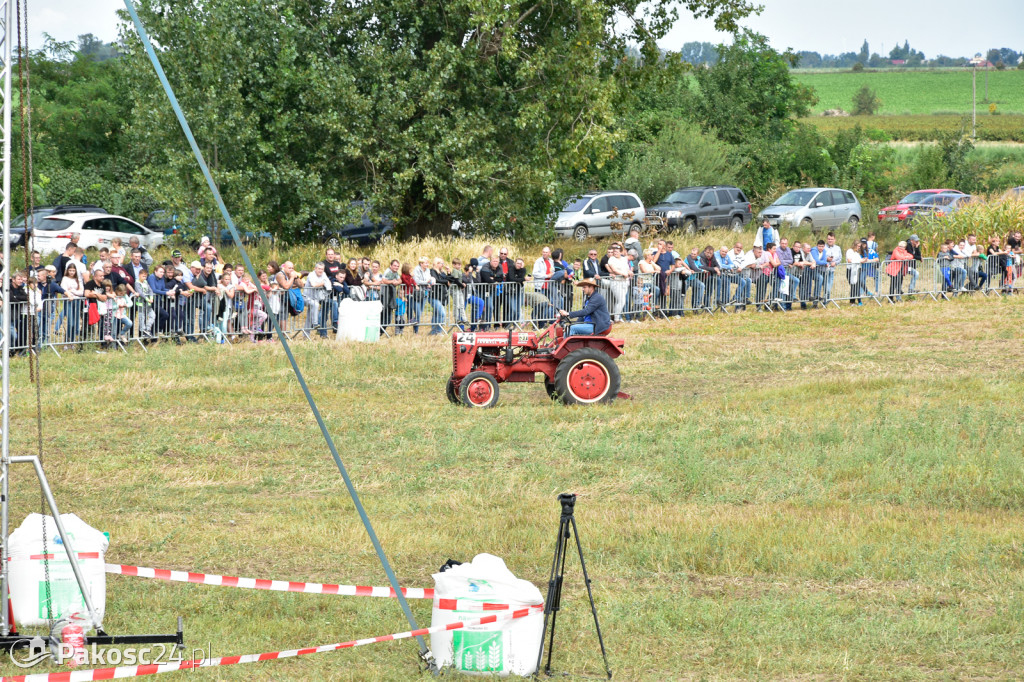 Grene Race 2018