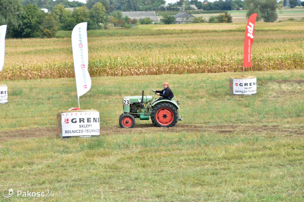 Grene Race 2018