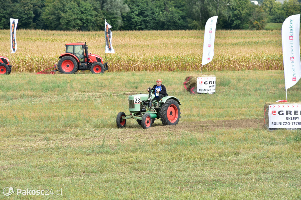 Grene Race 2018