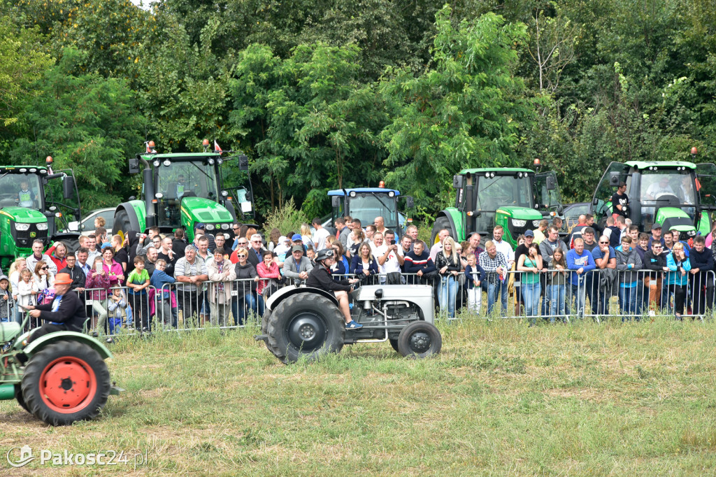Grene Race 2018