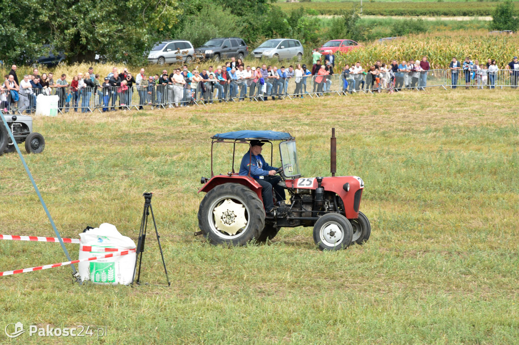 Grene Race 2018