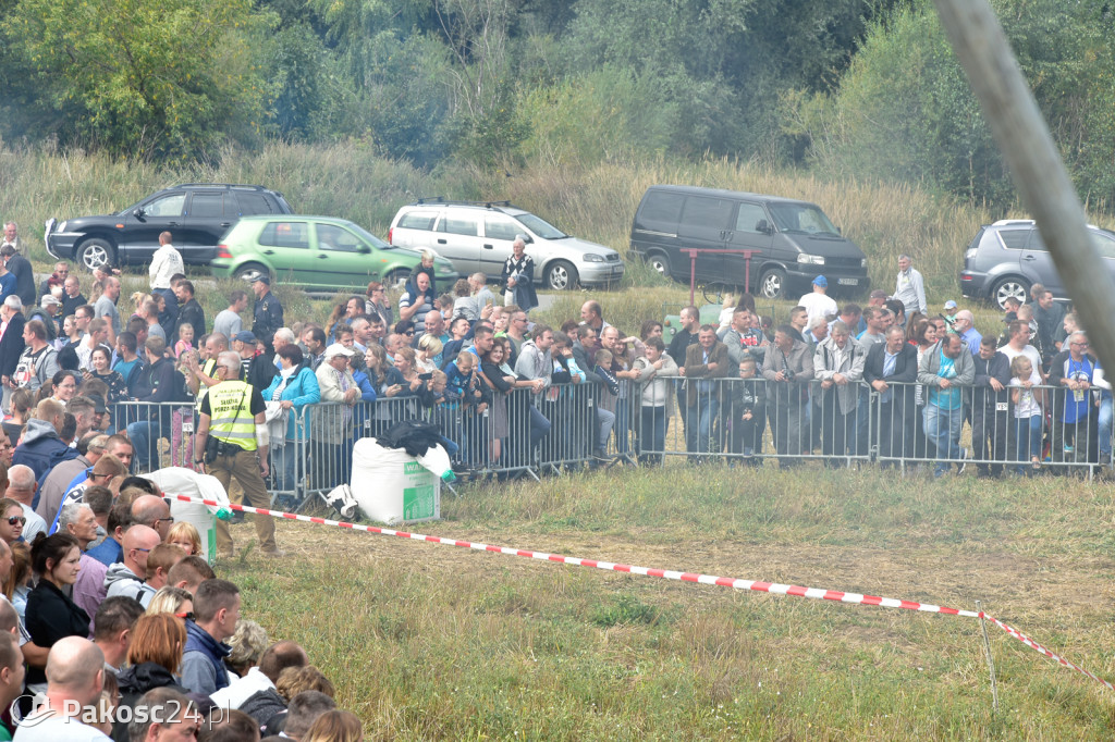 Grene Race 2018