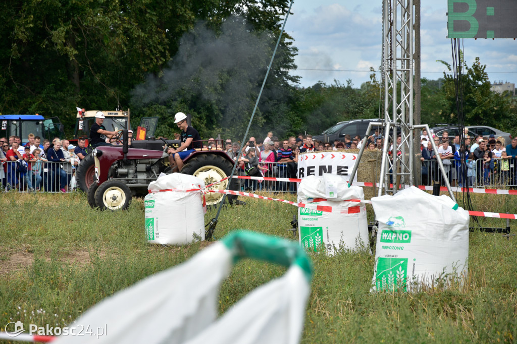 Grene Race 2018