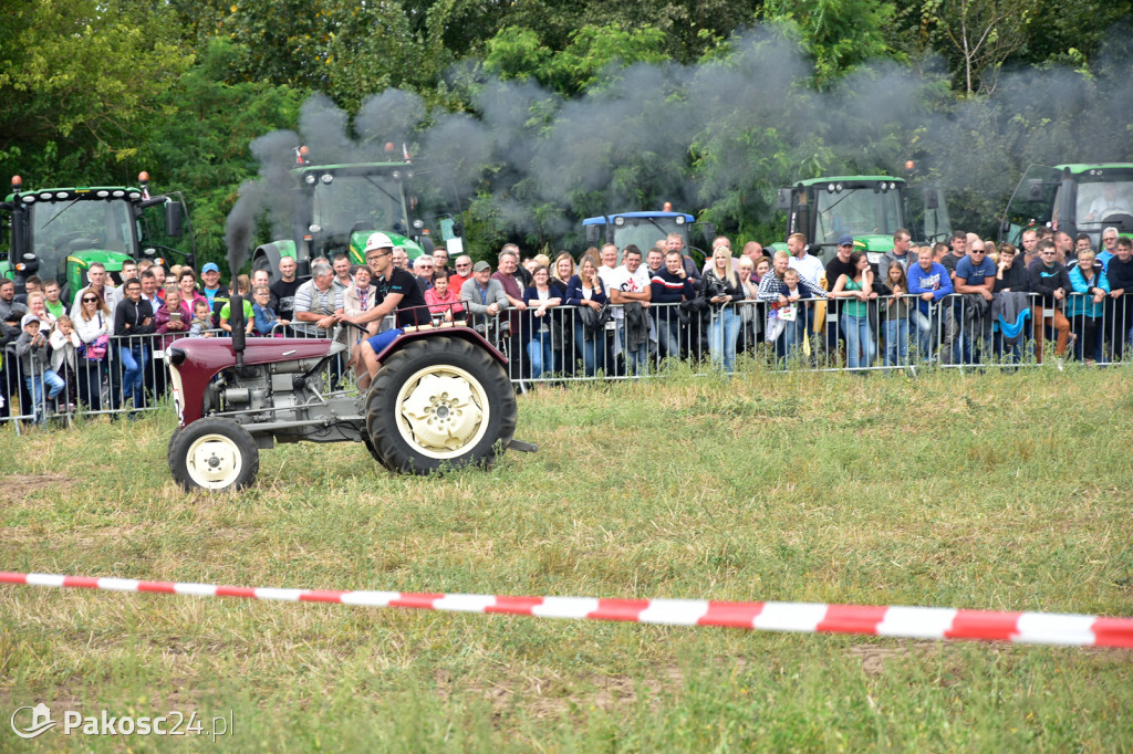Grene Race 2018