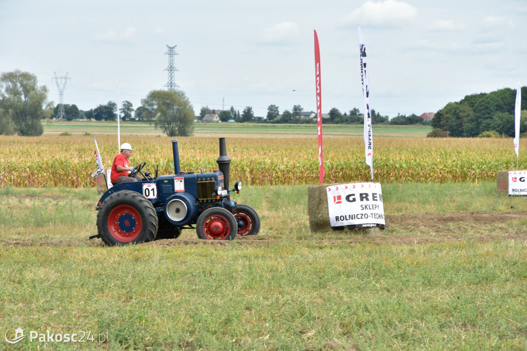 Grene Race 2018