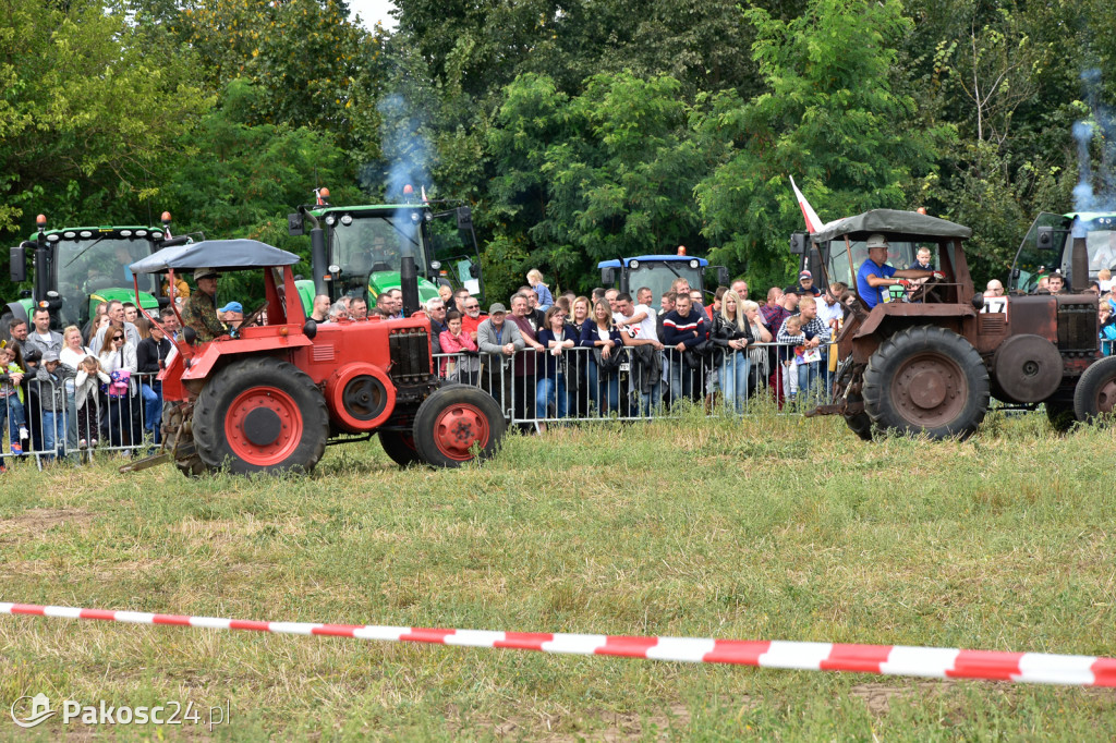 Grene Race 2018