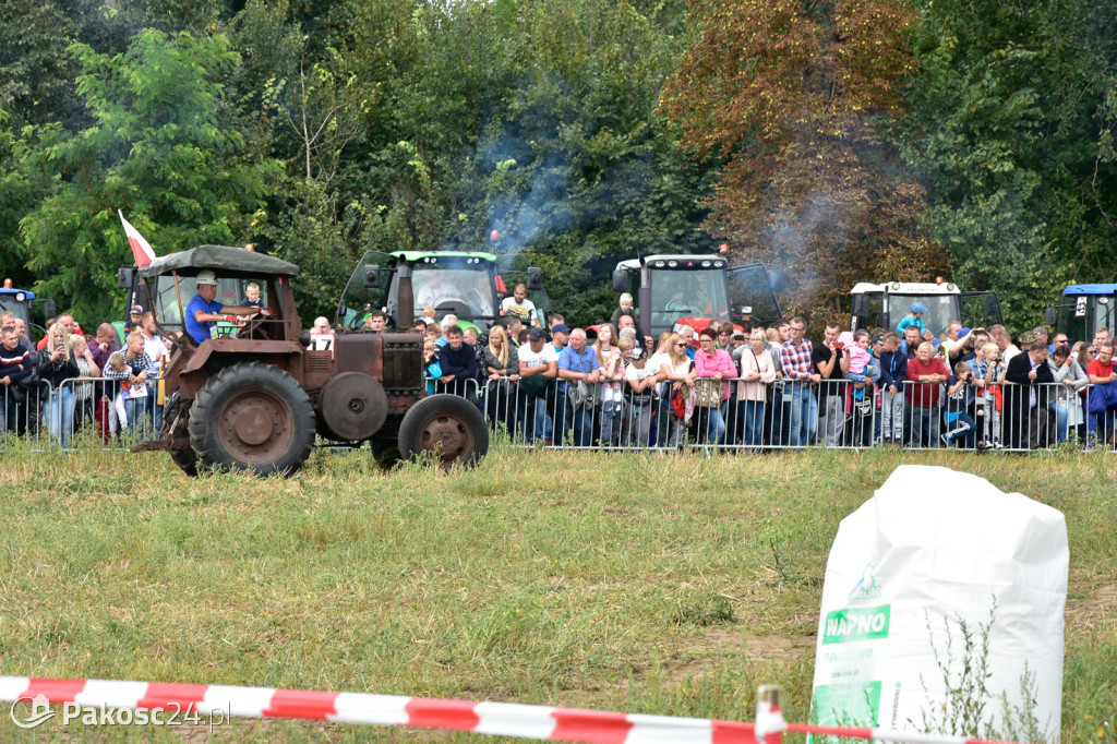 Grene Race 2018