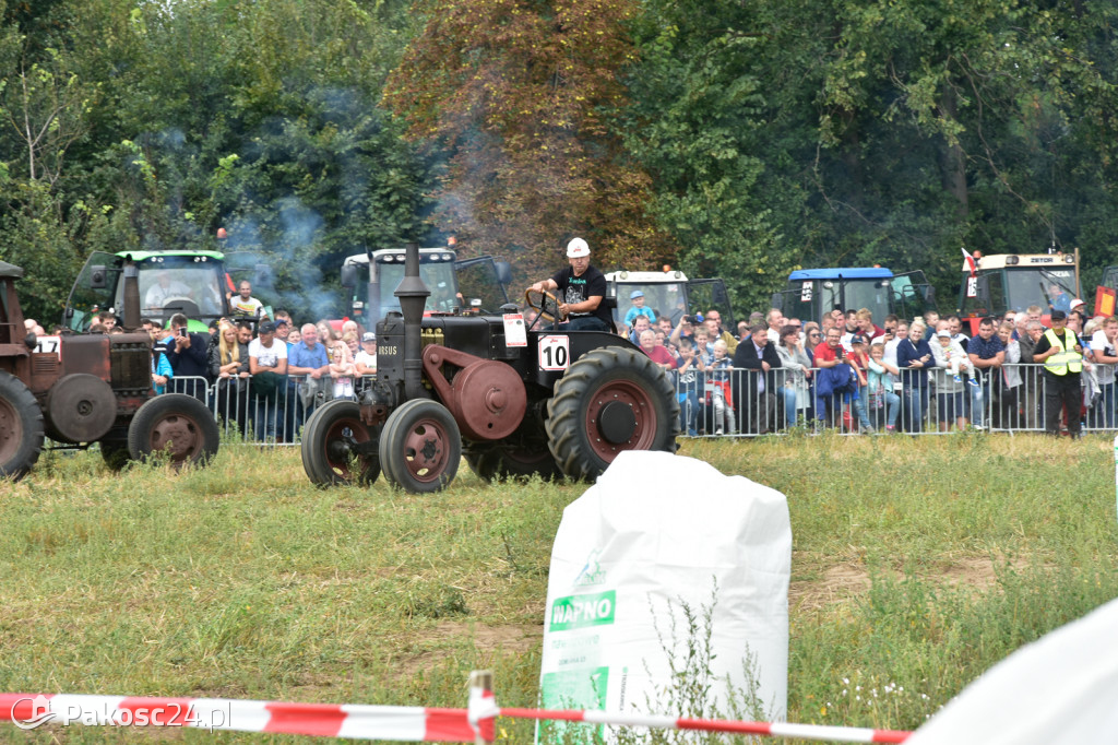 Grene Race 2018