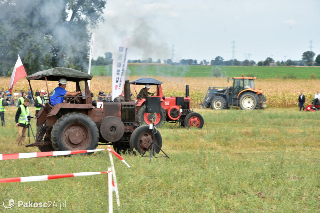 Grene Race 2018