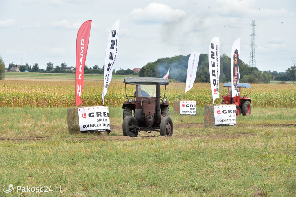Grene Race 2018