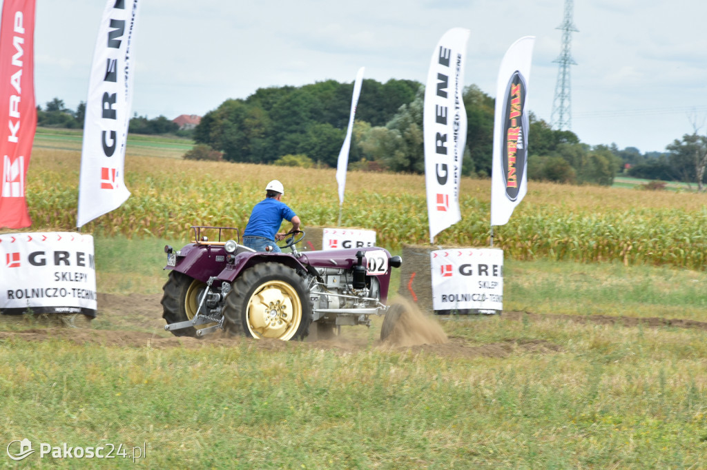 Grene Race 2018