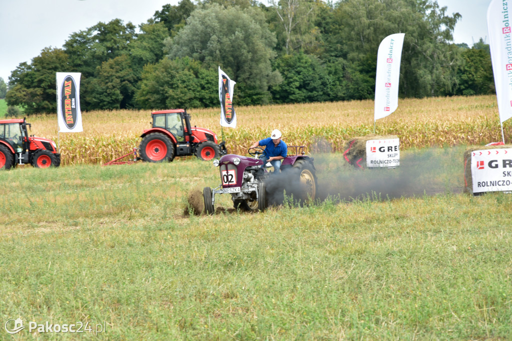 Grene Race 2018