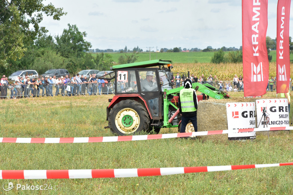 Grene Race 2018