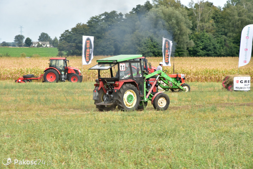 Grene Race 2018