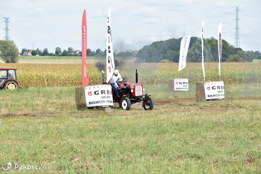 Grene Race 2018