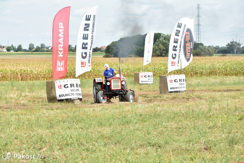 Grene Race 2018