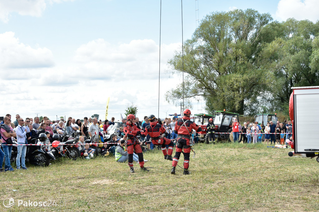 Grene Race 2018