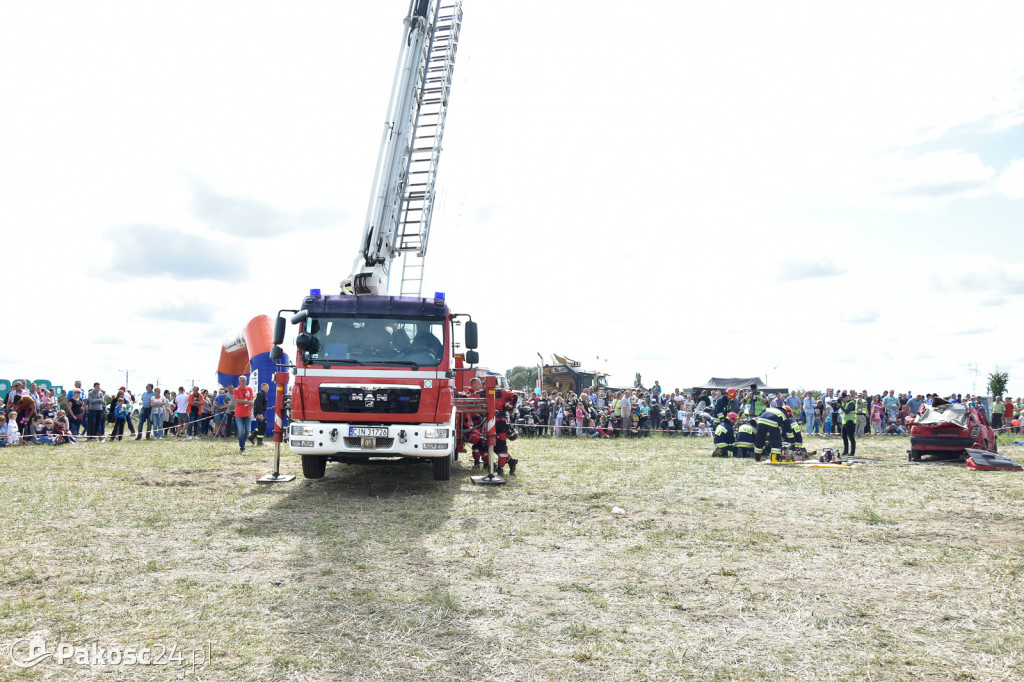 Grene Race 2018