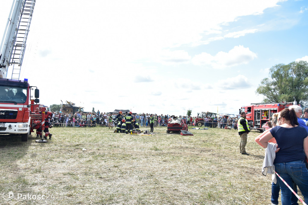 Grene Race 2018